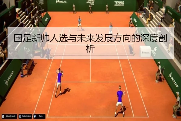 国足新帅人选与未来发展方向的深度剖析